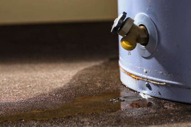 Best Local water damage restoration  in Brownsville, OR