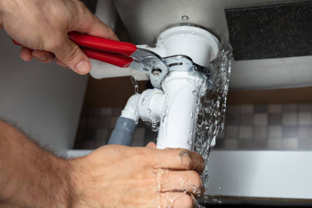 Best Water damage mitigation services  in Brownsville, OR