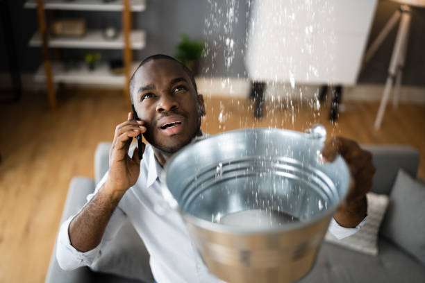 Best Water damage restoration services  in Brownsville, OR