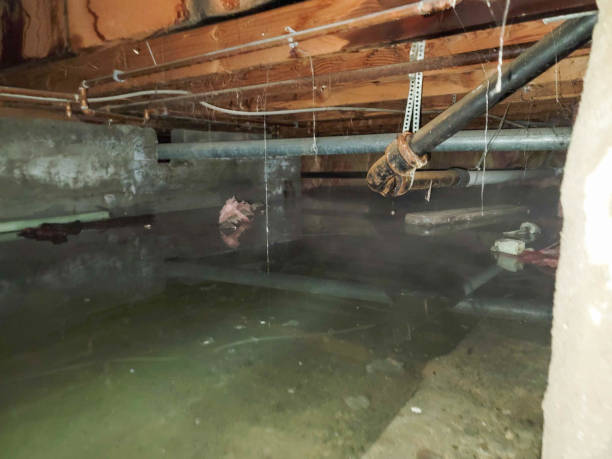 Best Local water damage restoration  in Brownsville, OR