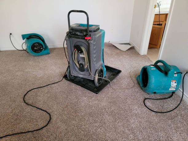 Local water damage restoration in Brownsville, OR