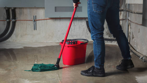 Best Residential water damage restoration  in Brownsville, OR