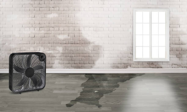 Best 24-hour water damage restoration  in Brownsville, OR