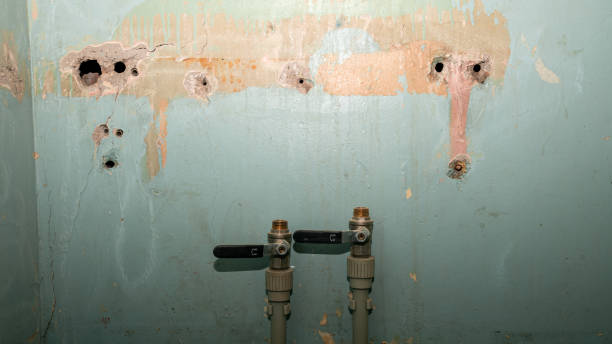 Best Fire Damage Restoration  in Brownsville, OR