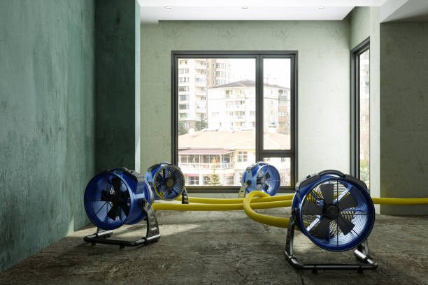 Best Commercial water damage restoration  in Brownsville, OR