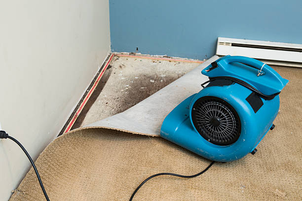 Best Residential water damage restoration  in Brownsville, OR
